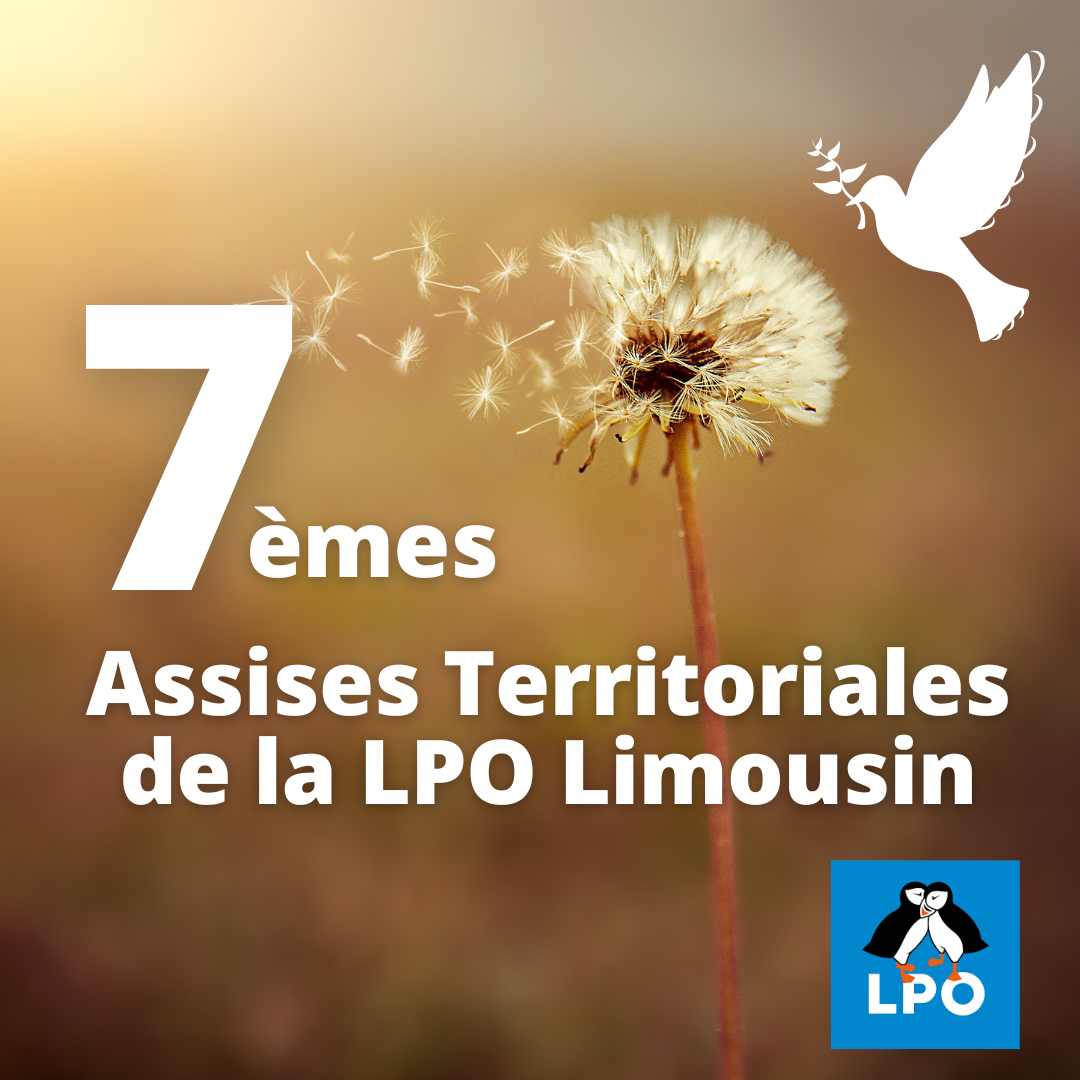 Assises territoriales 2024 de la LPO Limousin
