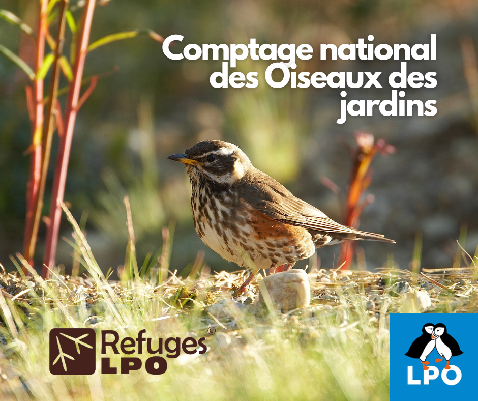 Les Refuges comptent ensemble!