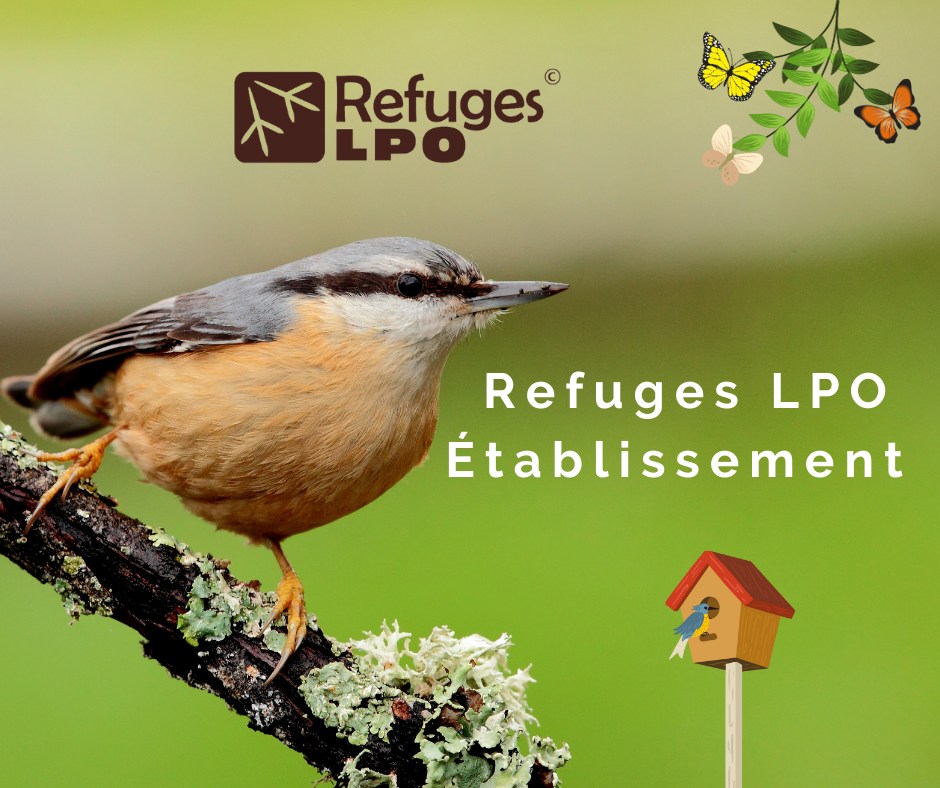 Refuge à venir ? La maison de retraite le Bon Pasteur...