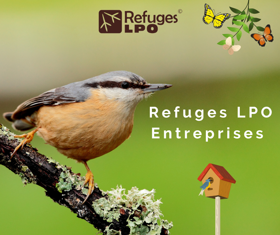 1er Refuge entreprise de la Haute-Vienne !