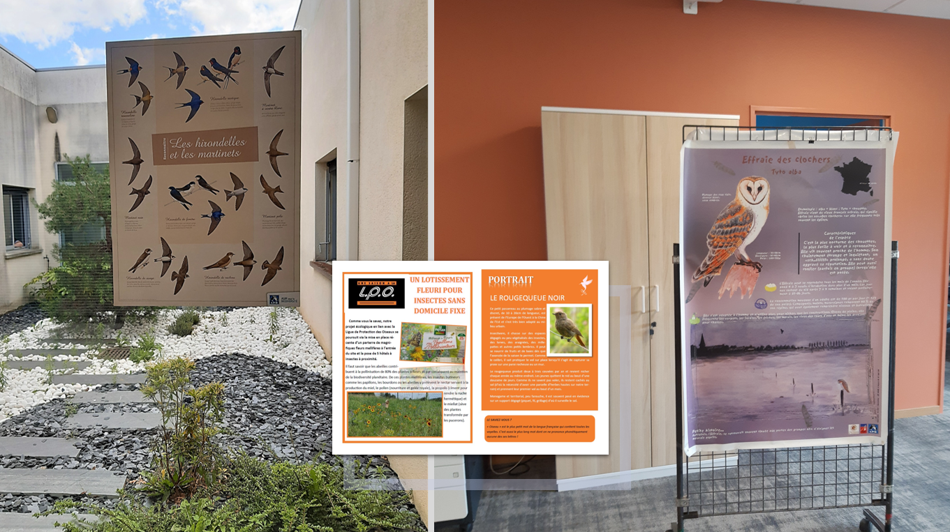 affiche expo