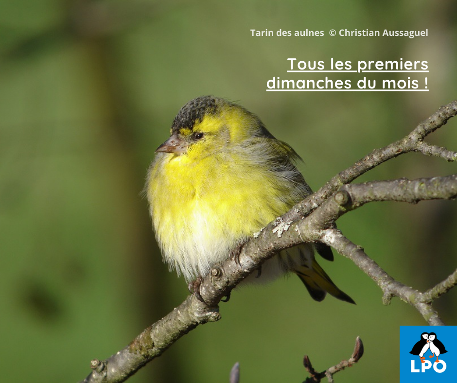 Une balade sur les bords de Vienne, ça vous dit ?