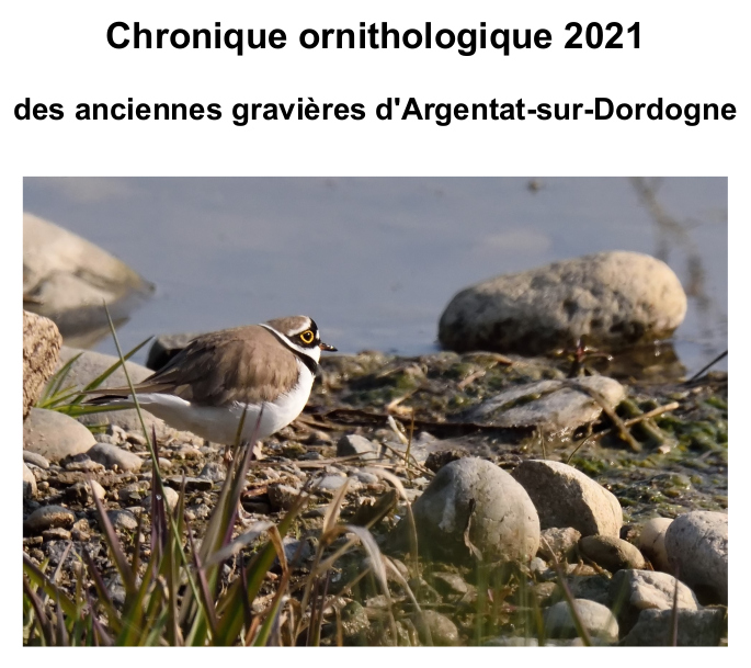 image Chronique Argentat 2021 PNG