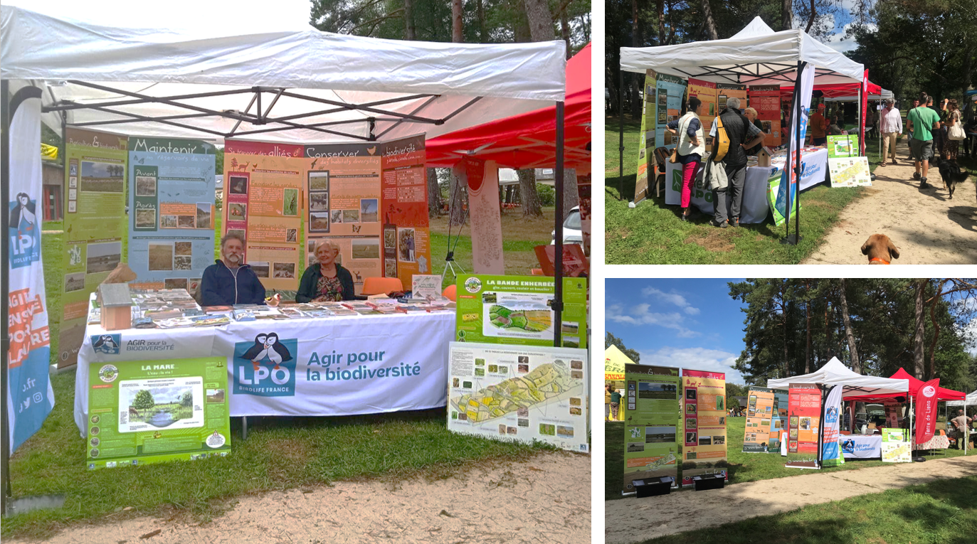 mixte fete agri pay