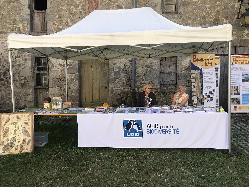 Journée de l'abeille et de la Biodiversité, retour en images !