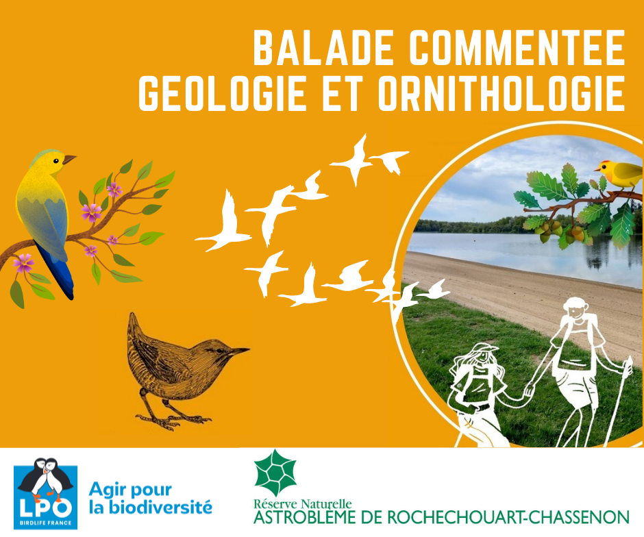 Quand ornithologie et géologie se rencontrent !