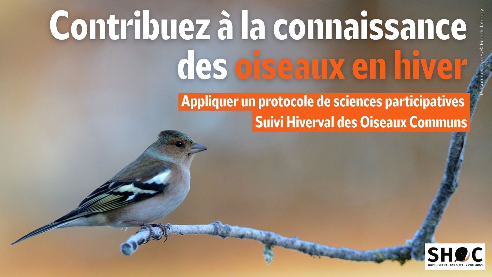 Rencontre Faune 2025