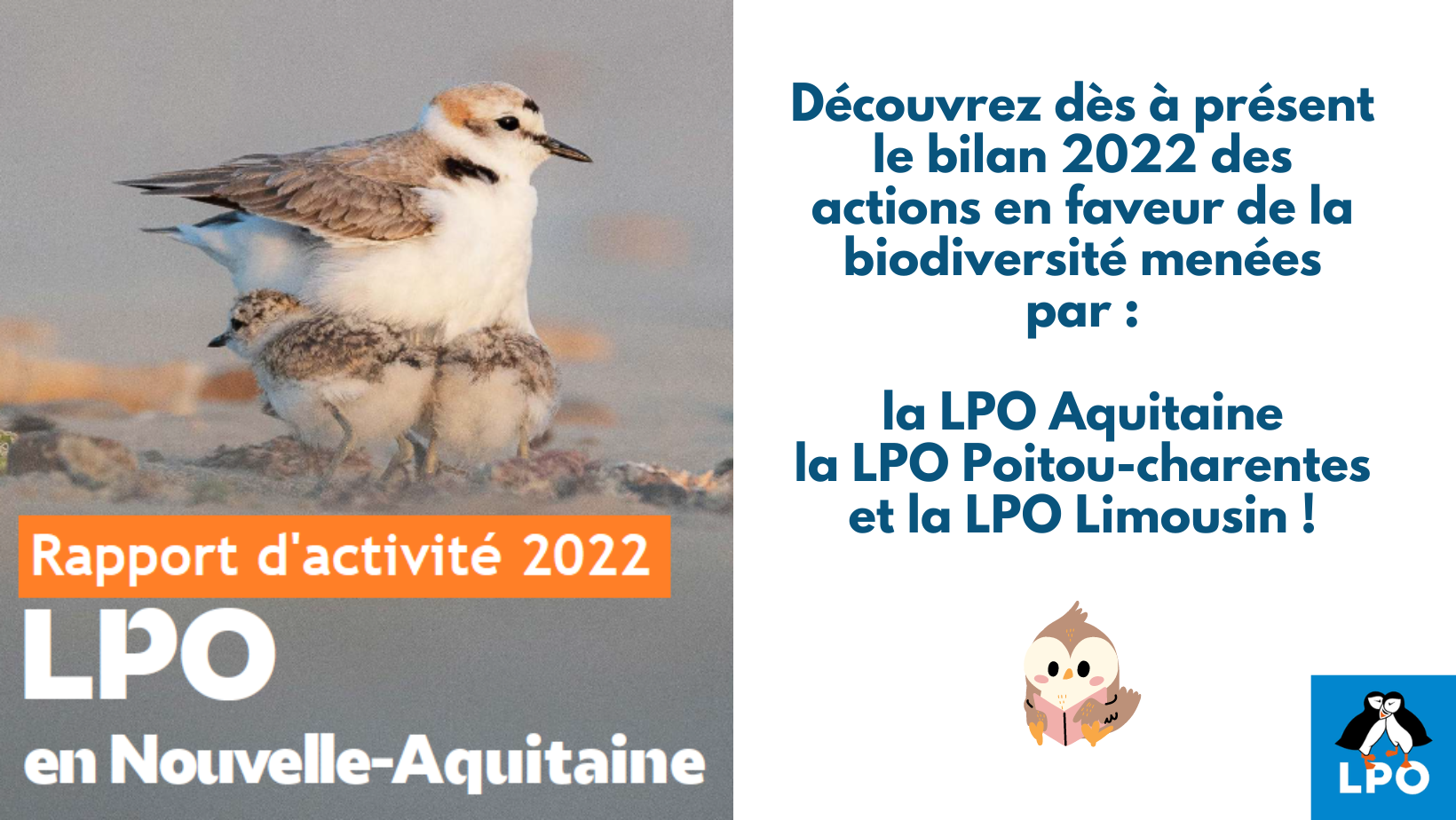 Rapport d'activité 2022 de la LPO en Nouvelle-Aquitaine