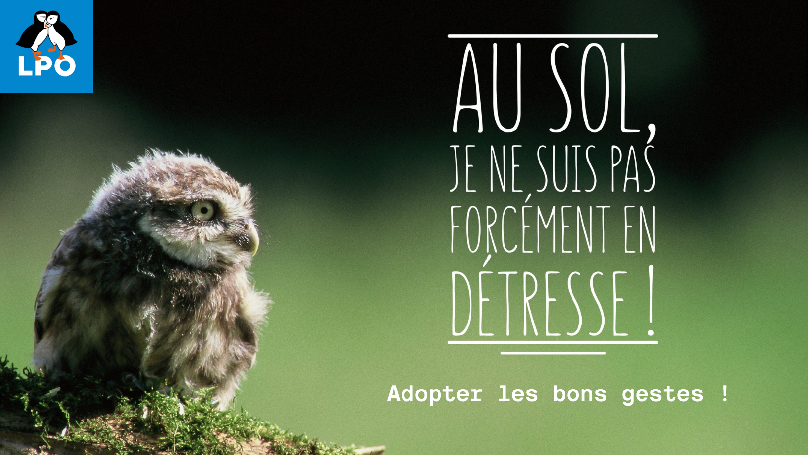 Adopter les bons gestes 