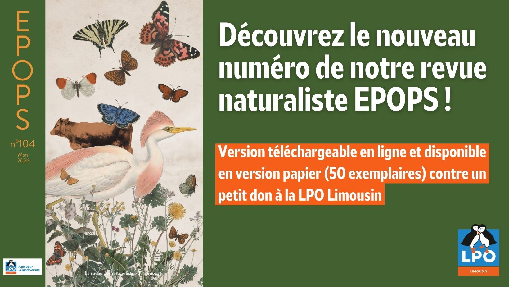 Epops N°104