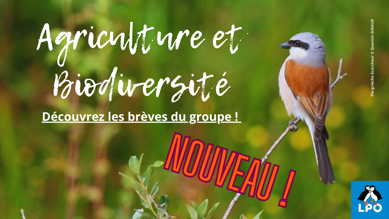 Du nouveau dans le groupe Agriculture et Biodiversité !