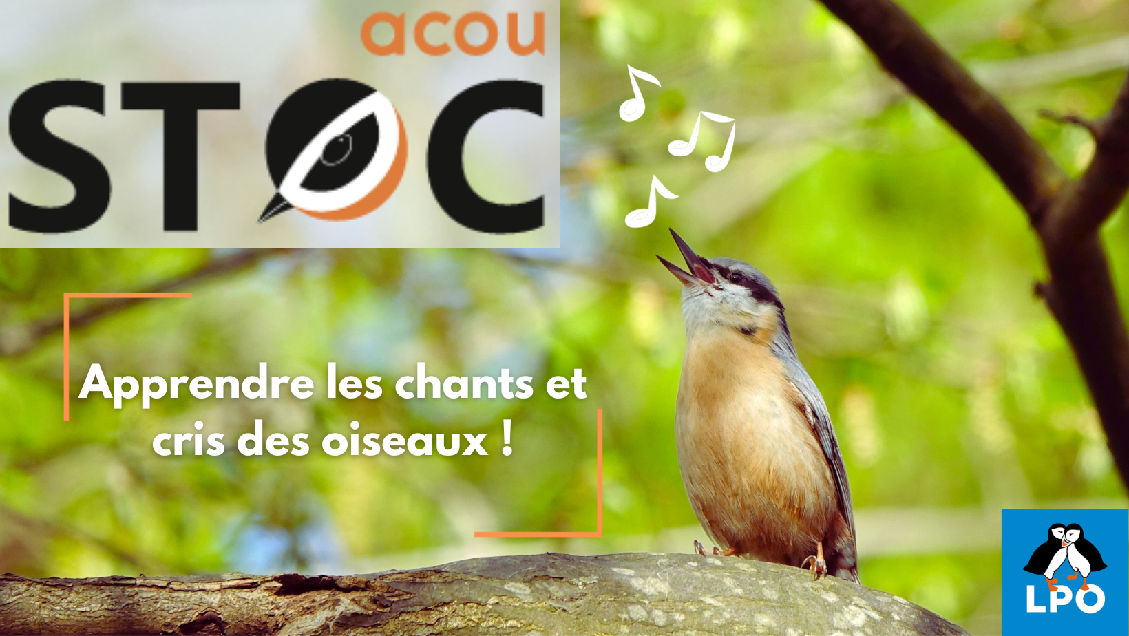 AcouSTOC ! Apprendre facilement !