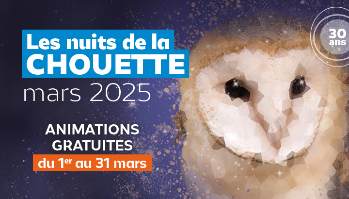 Les Nuits de la Chouette : un rendez-vous incontournable avec les rapaces nocturnes