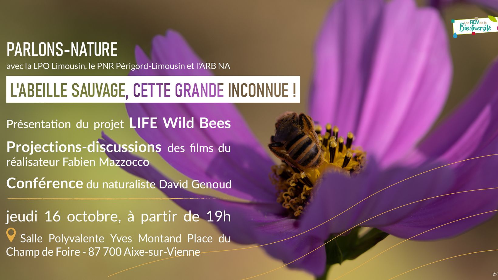 Parlons Nature, L'abeille sauvage, cette grande inconnue
