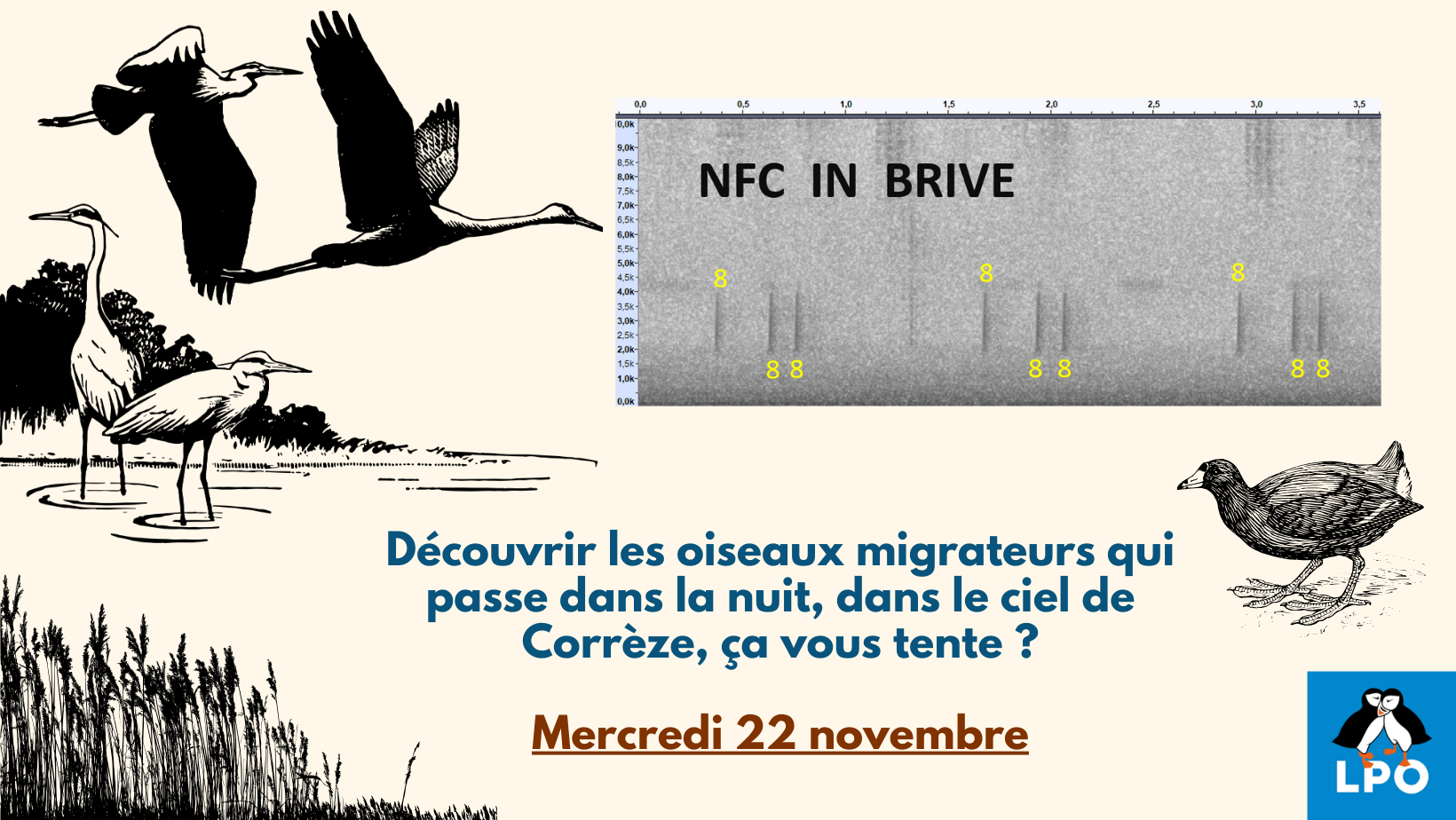 NFC  IN  BRIVE