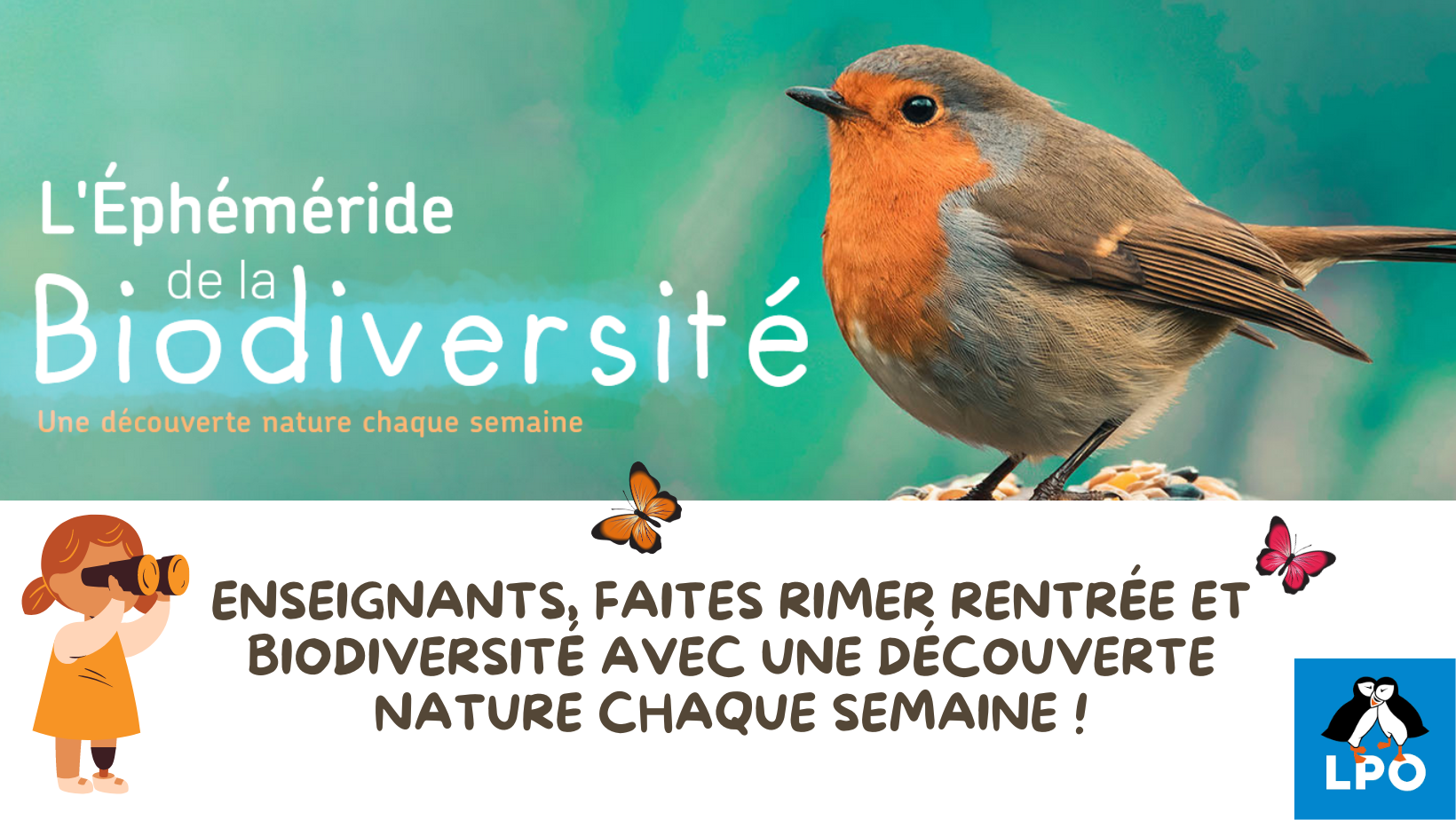 Quand nourrir les oiseaux ? - LPO (Ligue pour la Protection des Oiseaux) -  Agir pour la biodiversité