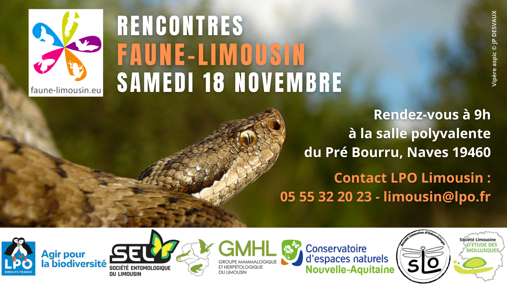 Rencontres Faune-Limousin
