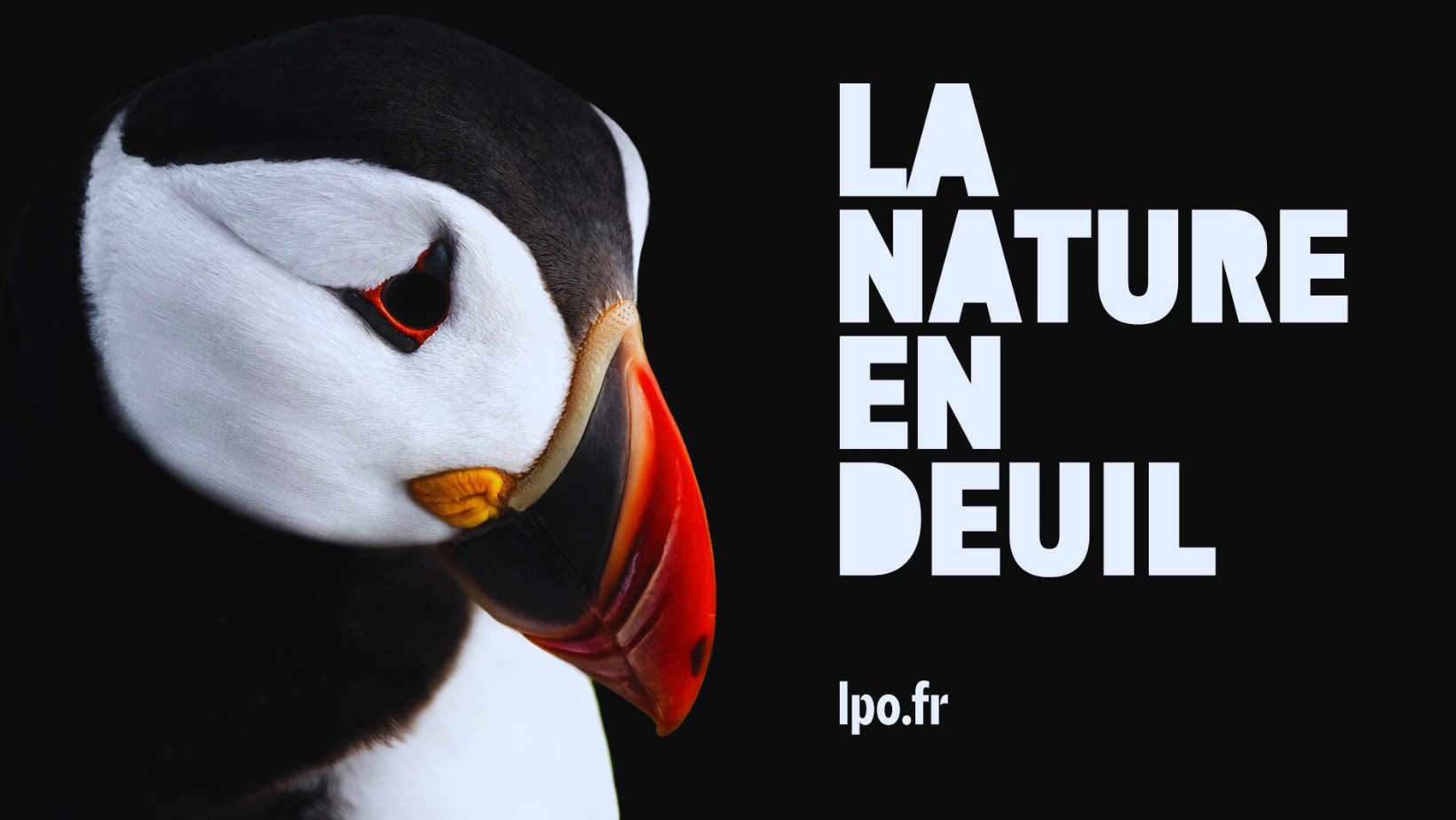 La nature en deuil