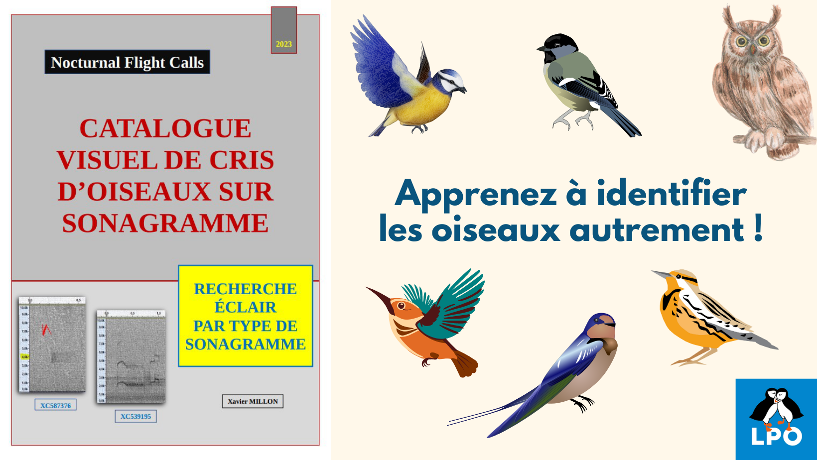NFC : le Catalogue visuel