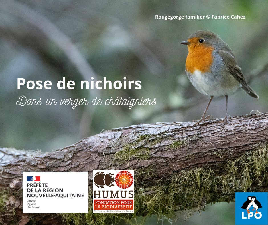 Chantier participatif sur la commune des Cars !