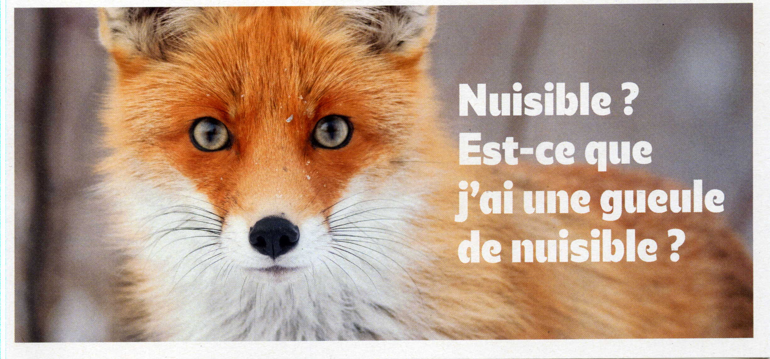 En 2023 la LPO s'attaque au délit de sale gueule !