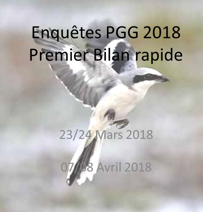Bilan PGG 2018