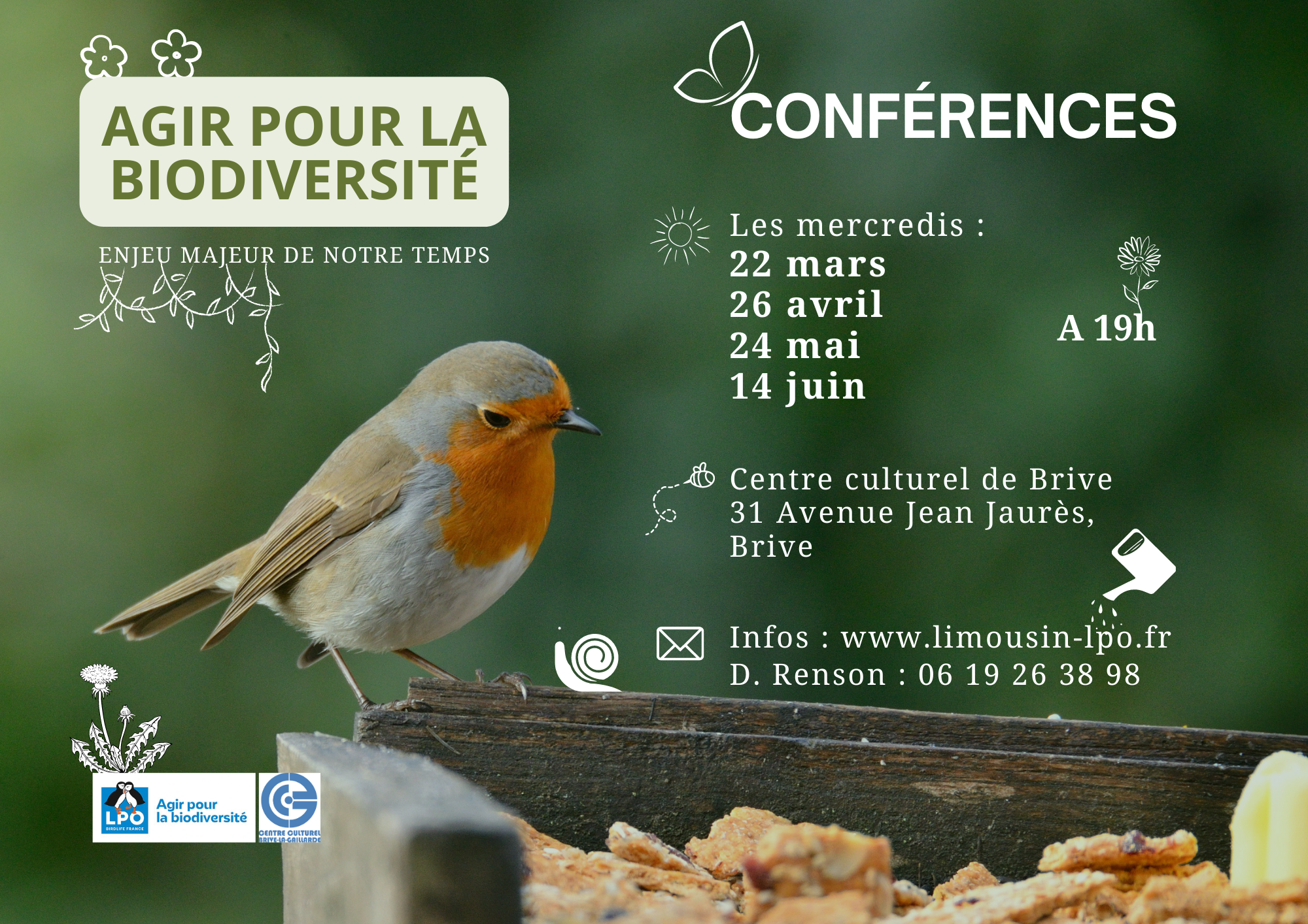 Corbeau freux - LPO (Ligue pour la Protection des Oiseaux) - Agir pour la  biodiversité