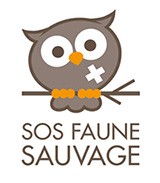 logososfaunesauvage