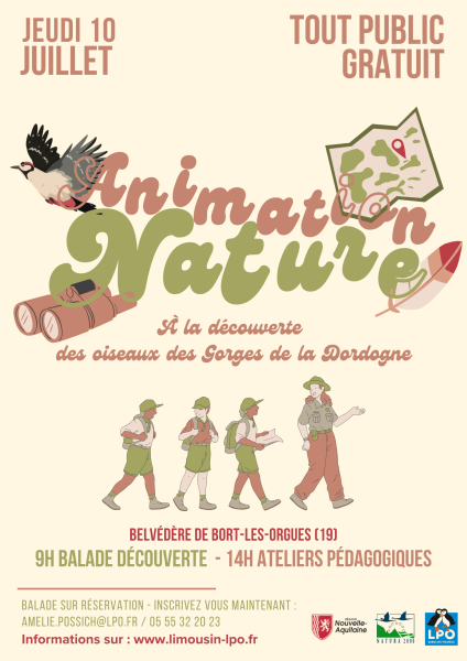 Affiche animation Pics 1