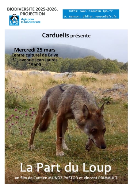 Affiche La Part du Loup