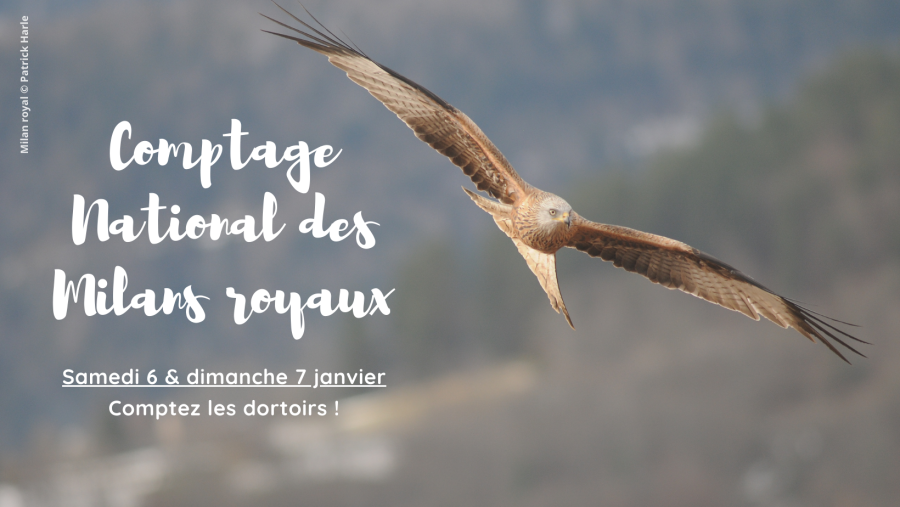 Enquête_participative4