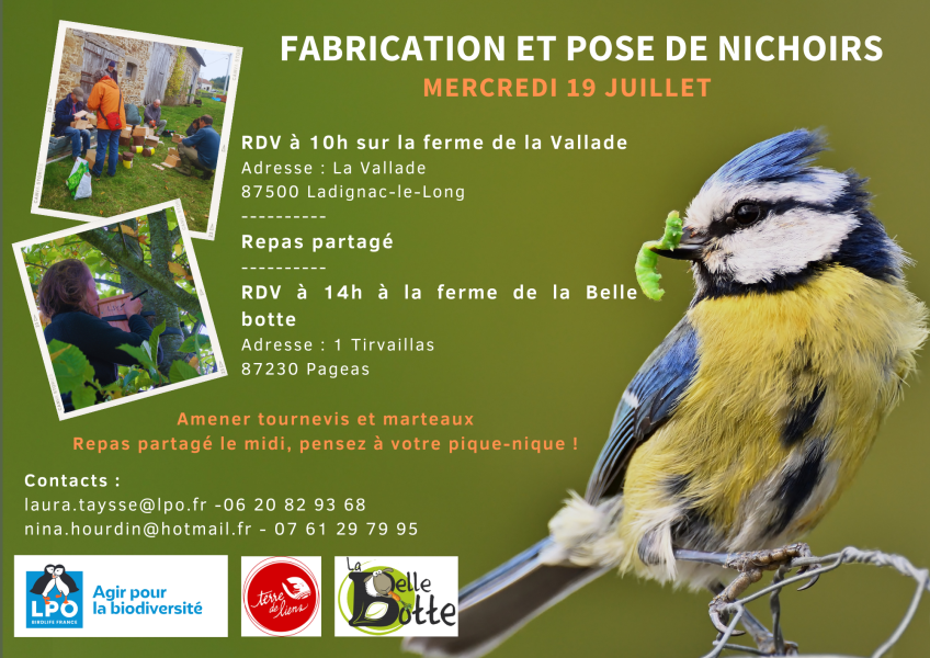 Fabrication_et_pose_de_nichoirs2