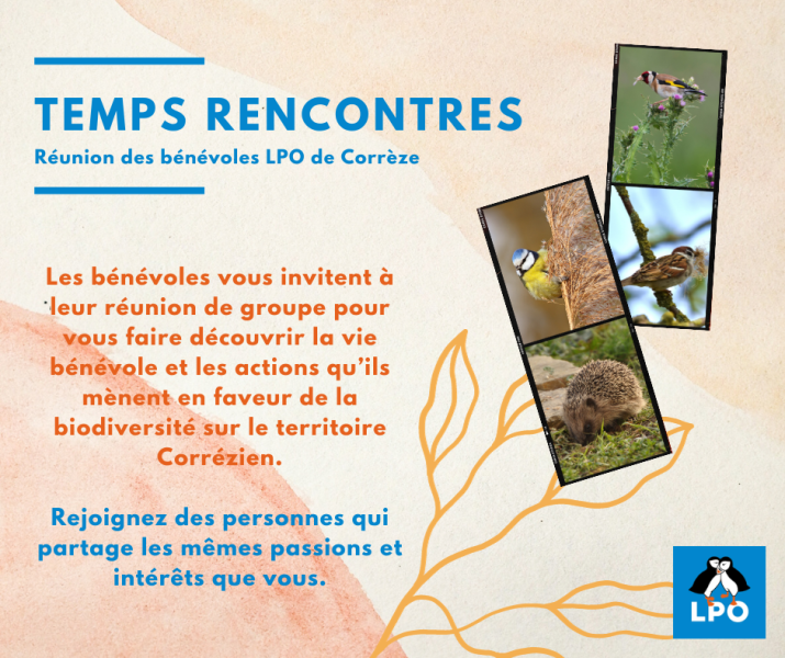 Sortie_ornithologique