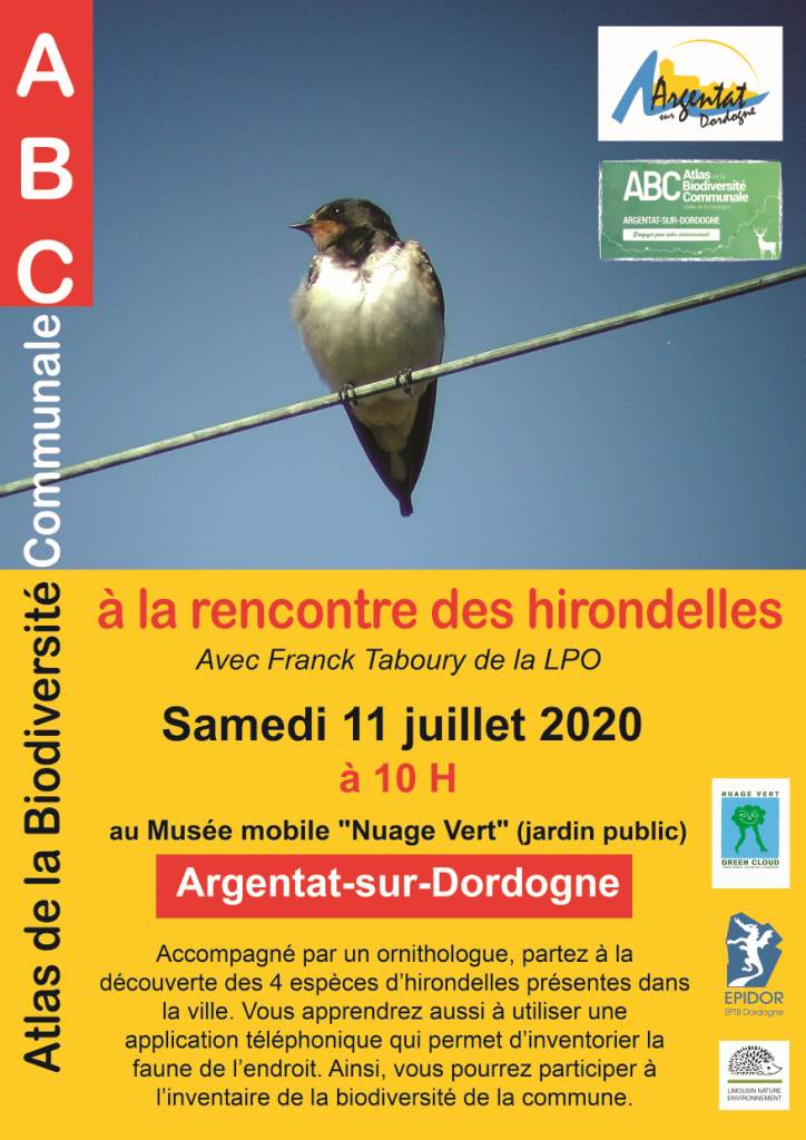 à_la_rencontre_des_hirondelles.jpg